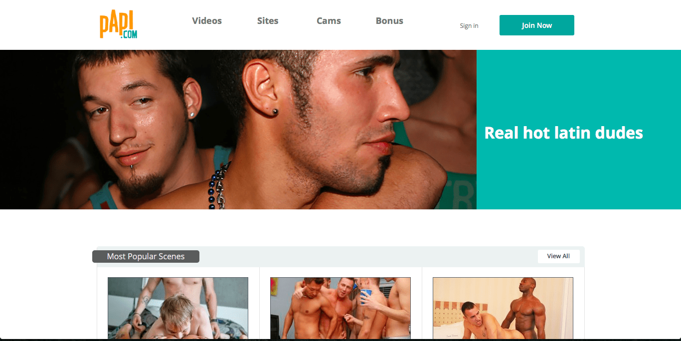 what are the top 5 best gay porn websites