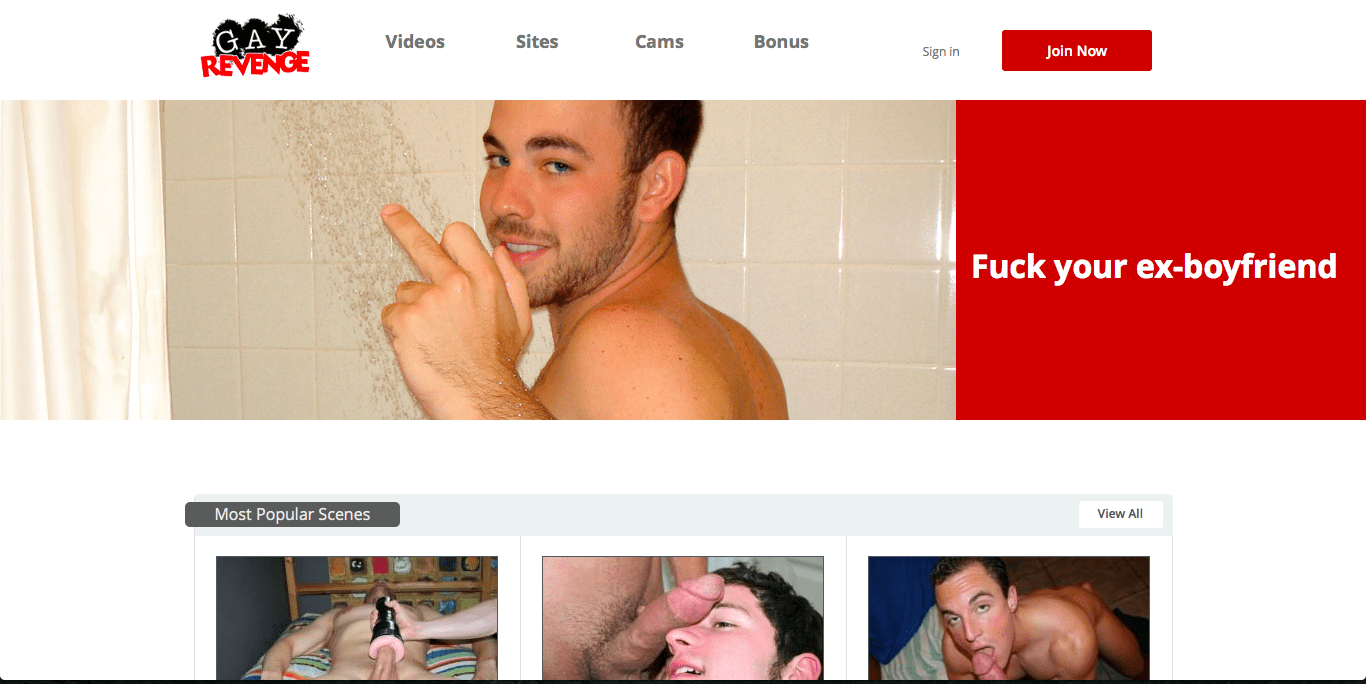 Gay Porn Websites - Gay Revenge - The Safe Porn